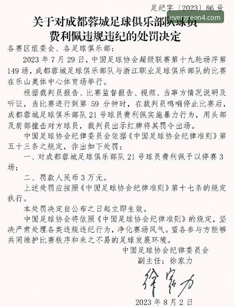 2026中超观赛实用指南：从费利佩倒钩看赛事数据追踪技巧